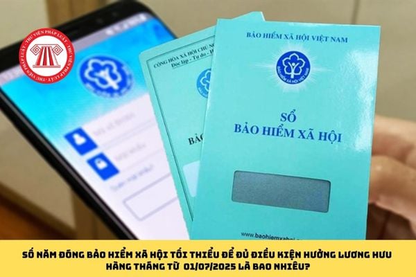Pháp luật