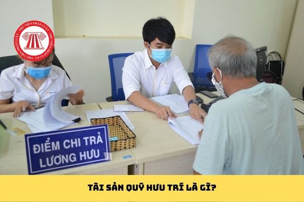 Pháp luật