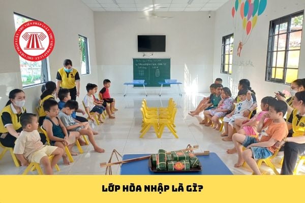 Pháp luật