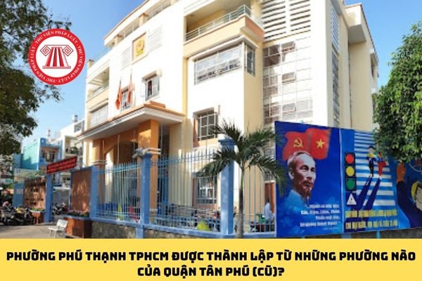 Pháp luật
