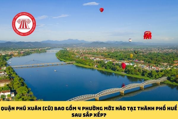Pháp luật