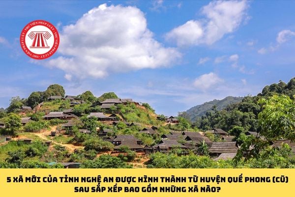 Pháp luật