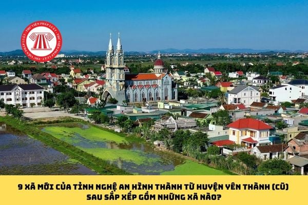 Pháp luật