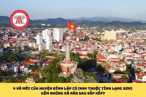 Pháp luật