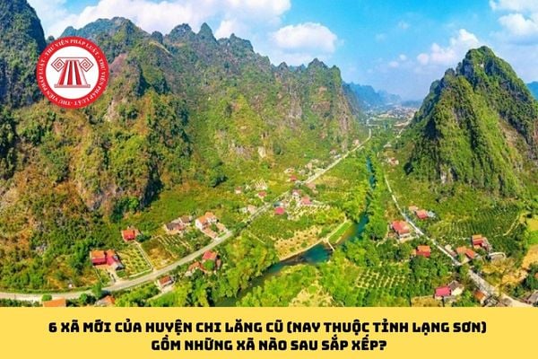 Pháp luật