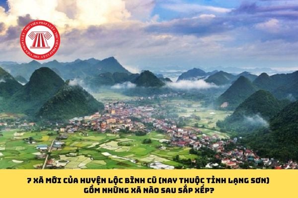 Pháp luật