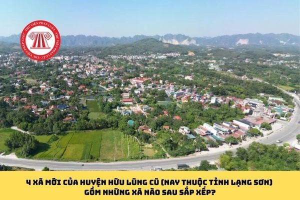 Pháp luật