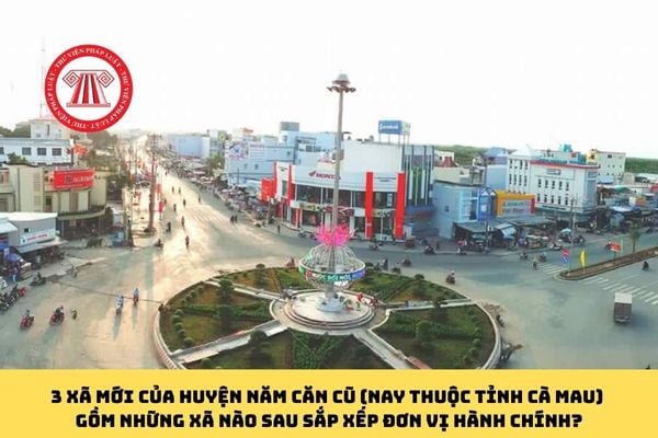 Pháp luật