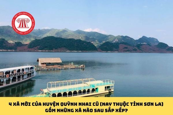 Pháp luật