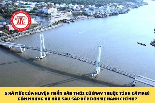 Pháp luật