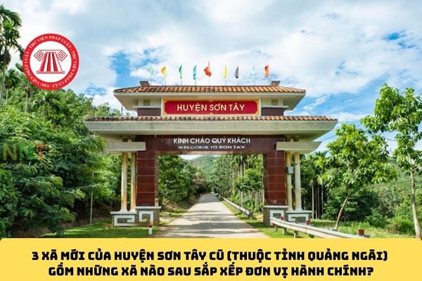 Pháp luật