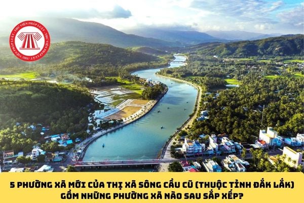 Pháp luật