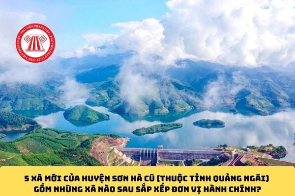 Pháp luật