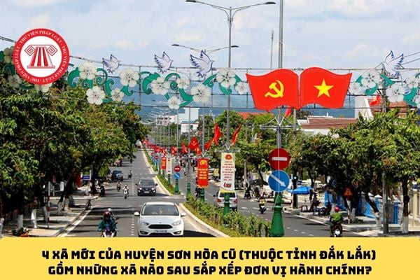 Pháp luật