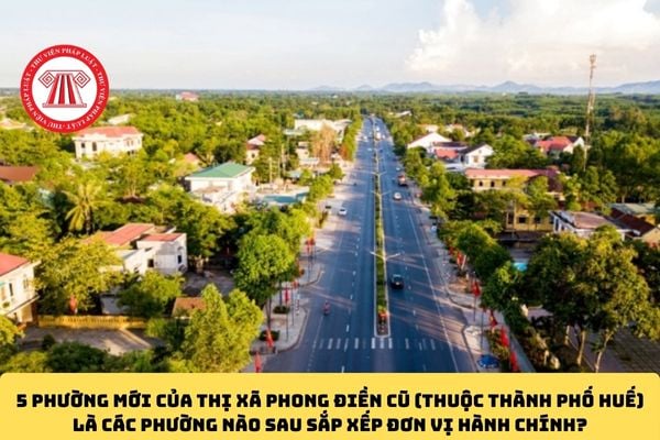 Pháp luật