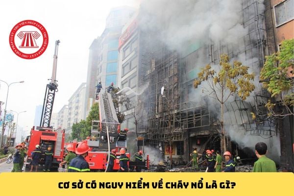 Pháp luật