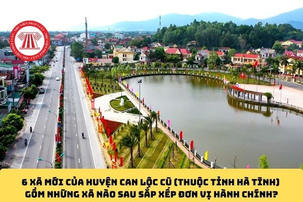 Pháp luật
