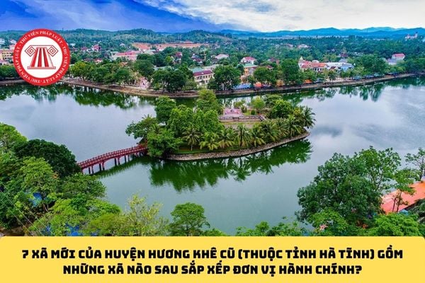Pháp luật