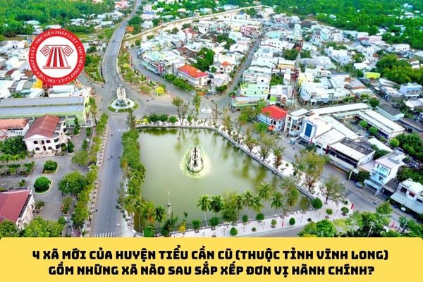 Pháp luật