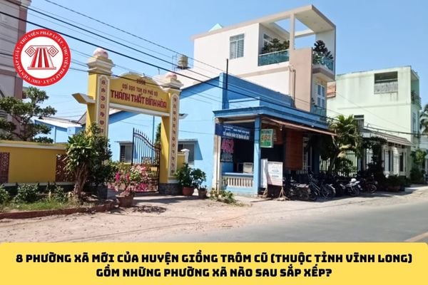 Pháp luật