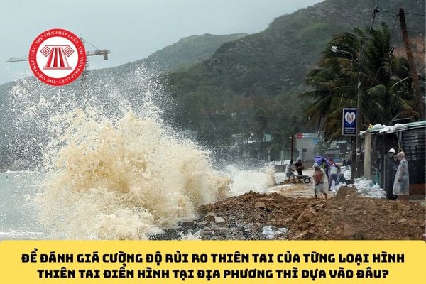 Pháp luật