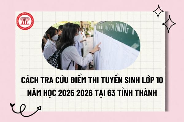 Pháp luật