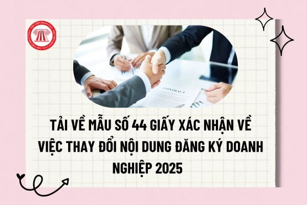 Pháp luật