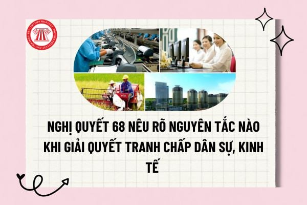 Pháp luật