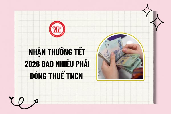 Pháp luật