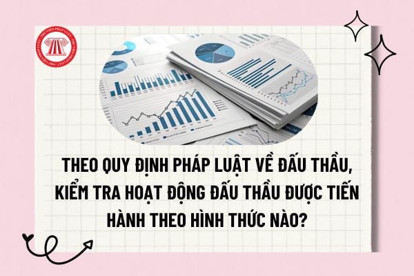 Pháp luật
