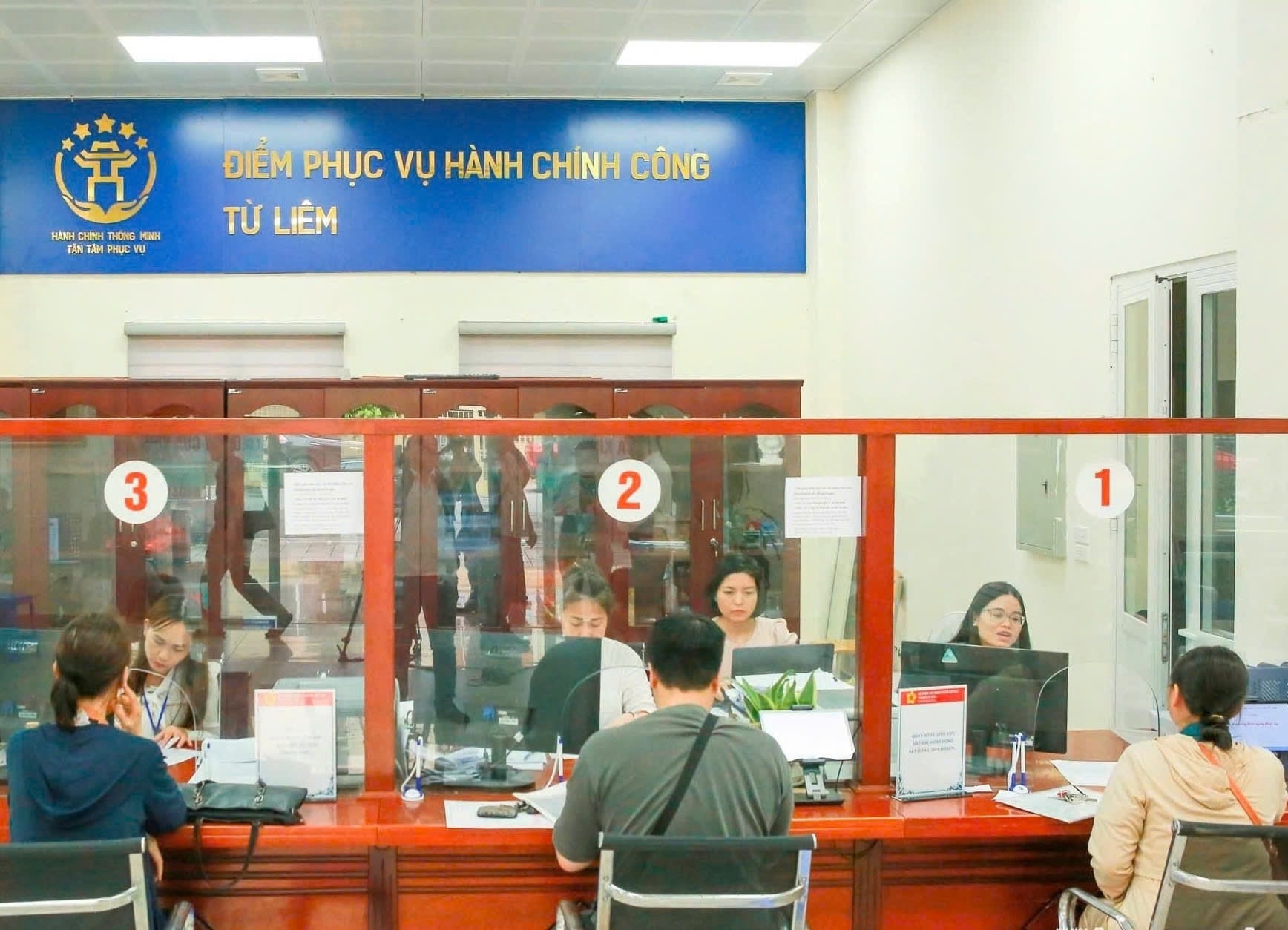 Pháp luật