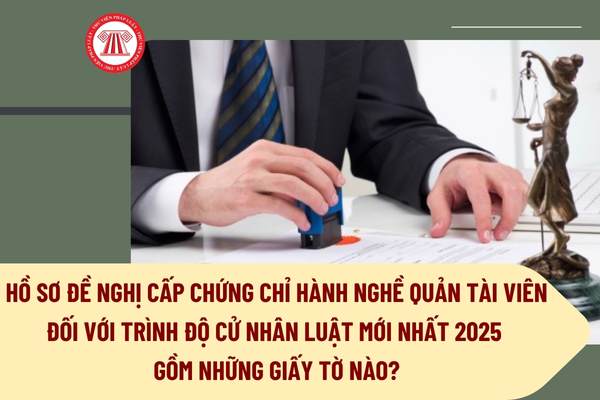 Pháp luật