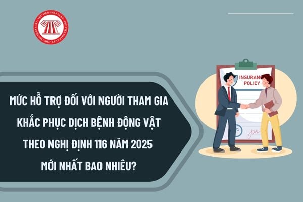 Pháp luật
