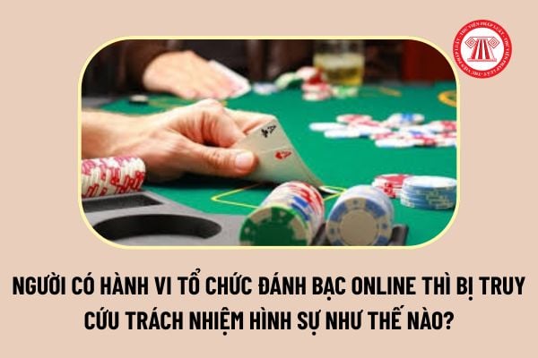 Pháp luật