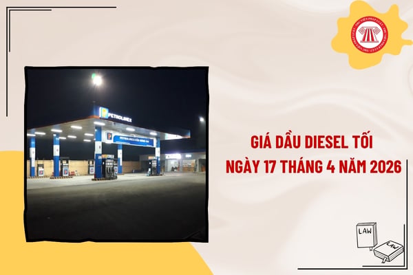 Pháp luật
