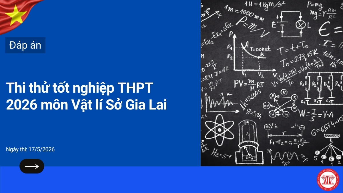 Pháp luật
