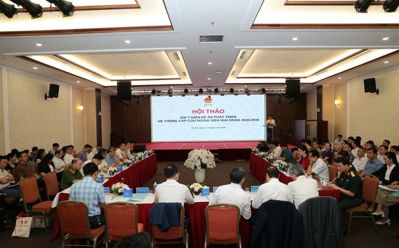 Pháp luật