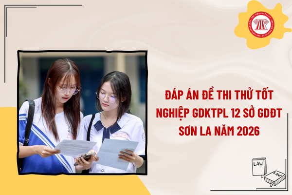 Pháp luật