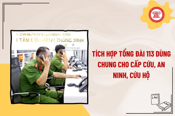 Pháp luật