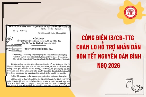 Pháp luật