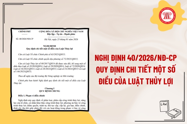 Pháp luật