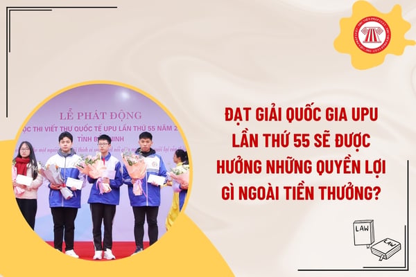 Pháp luật