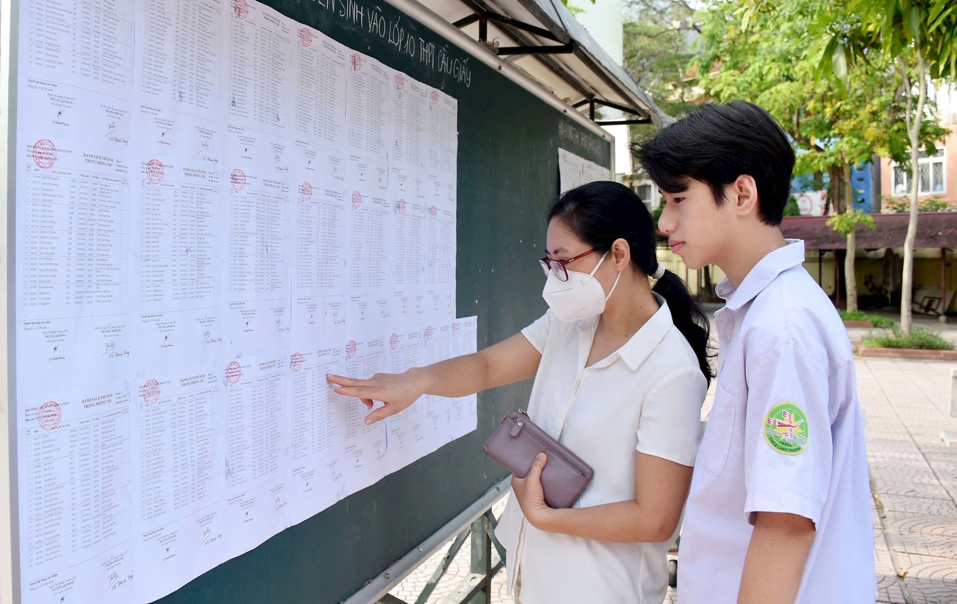 Pháp luật