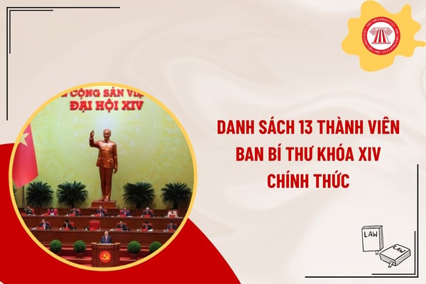 Pháp luật