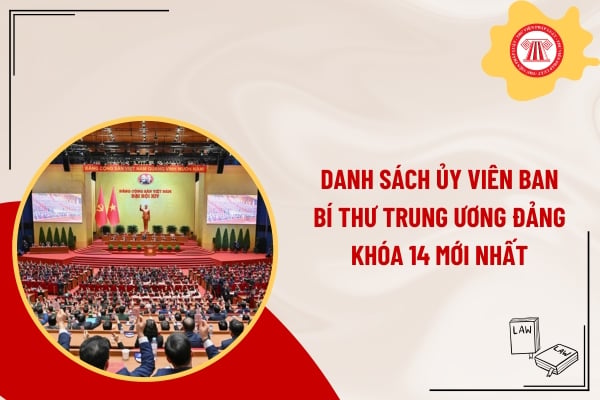 Pháp luật