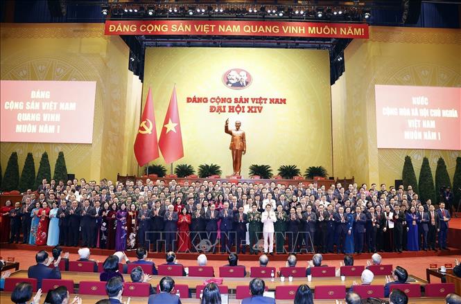 Pháp luật