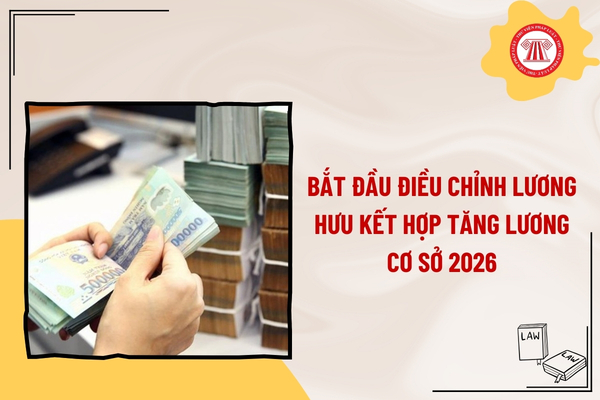 Pháp luật