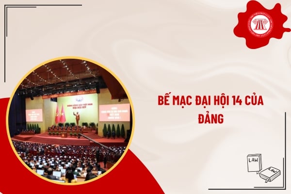 Pháp luật