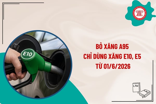 Pháp luật
