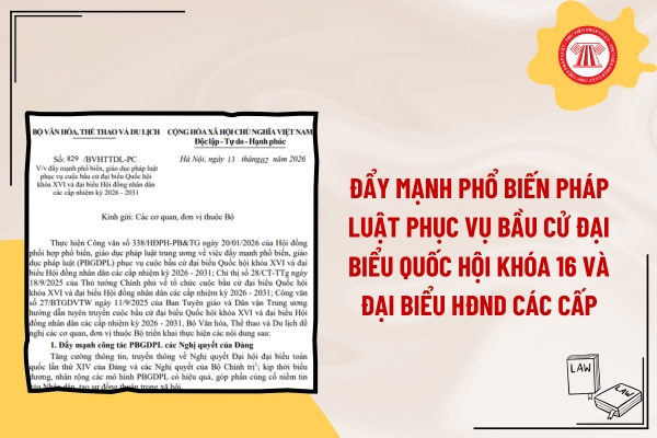 Pháp luật